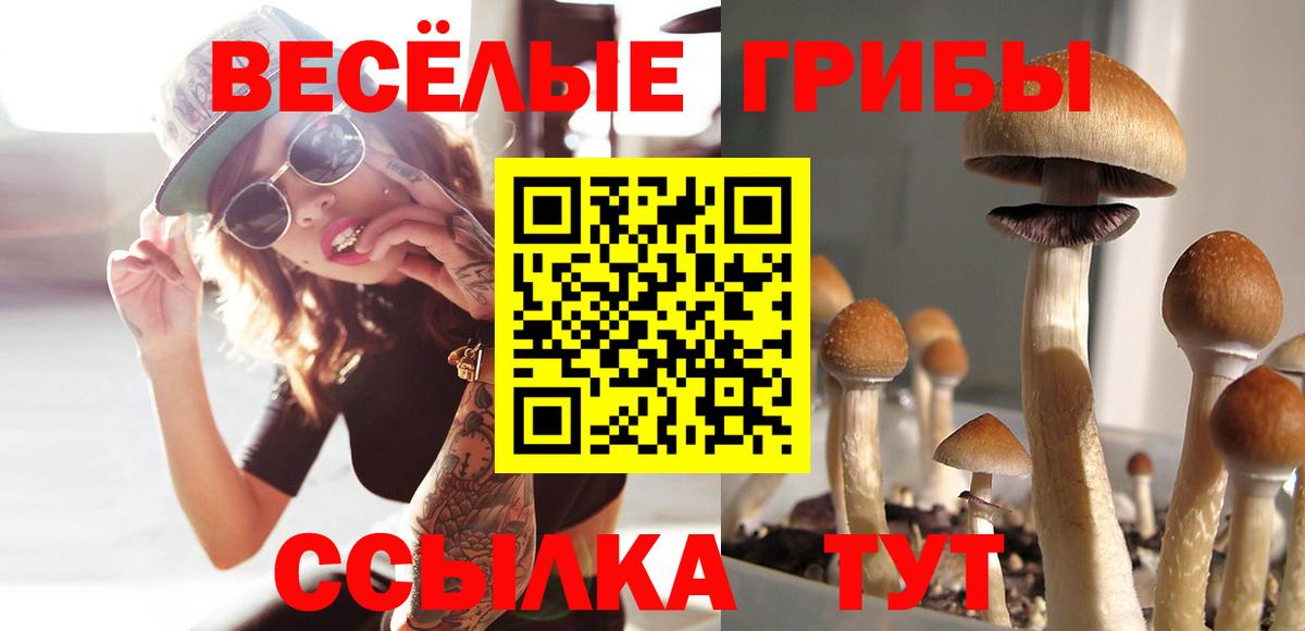 Галлюциногенные грибы Psilocybine cubensis Богданович
